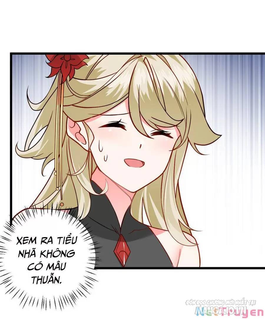 Mang Theo Các Tiên Tử Vô Địch Thiên Hạ Chapter 41 - Trang 2