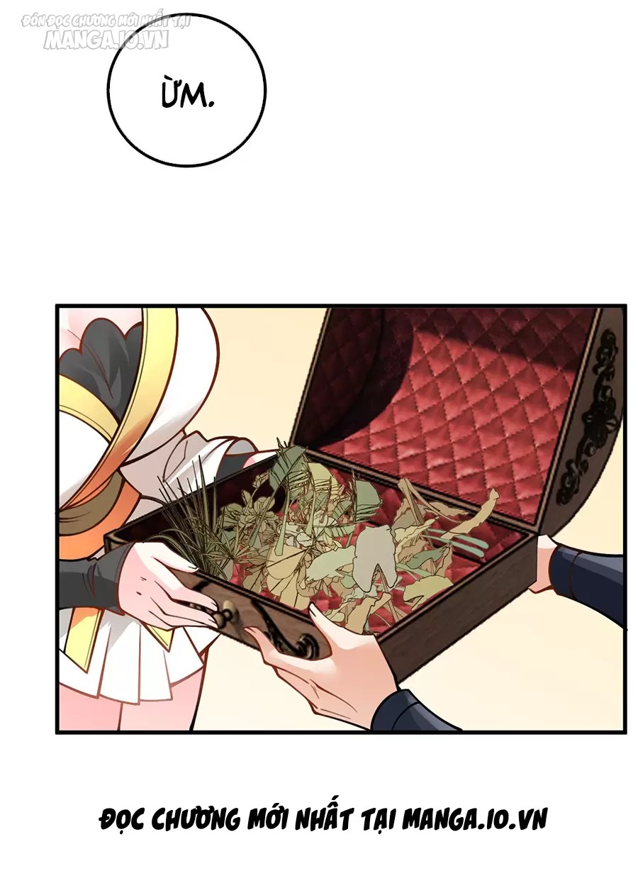 Mang Theo Các Tiên Tử Vô Địch Thiên Hạ Chapter 55 - Trang 2