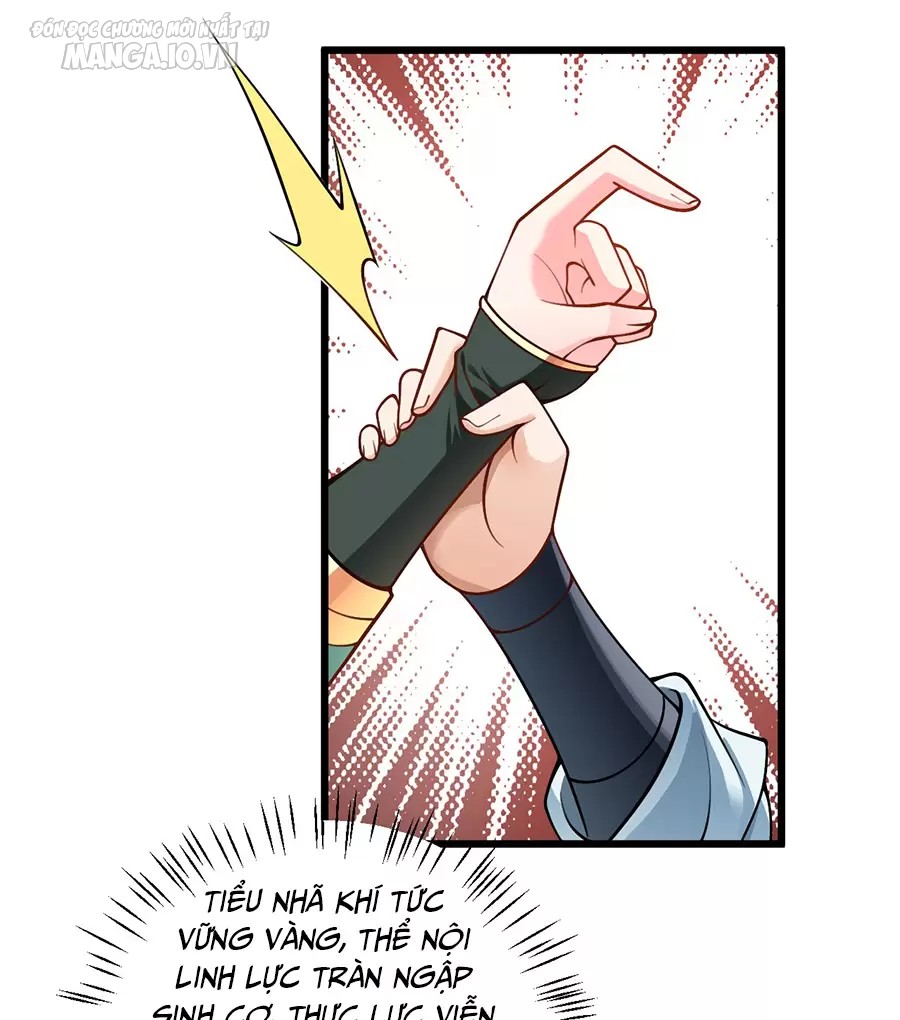 Mang Theo Các Tiên Tử Vô Địch Thiên Hạ Chapter 56 - Trang 2