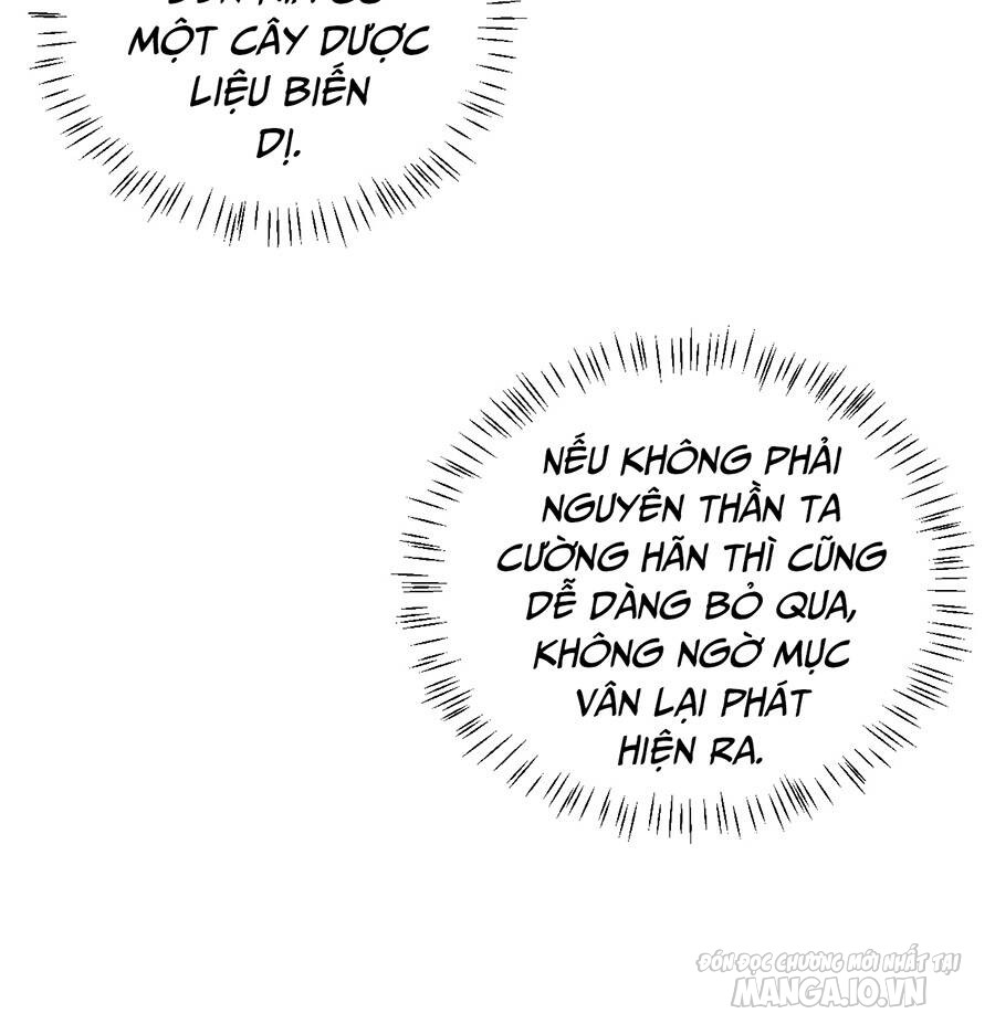 Mang Theo Các Tiên Tử Vô Địch Thiên Hạ Chapter 8 - Trang 2