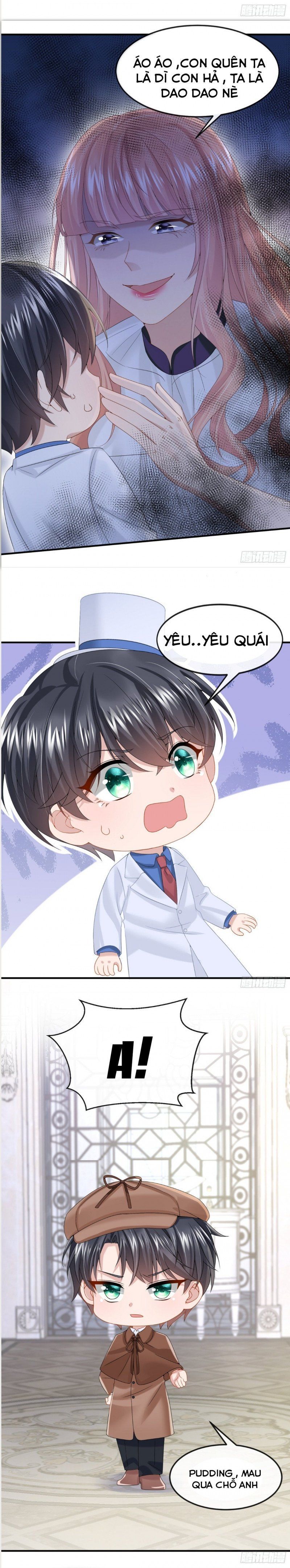 Manh Bảo Của Tôi Là Liêu Cơ Chapter 14.5 - Trang 2