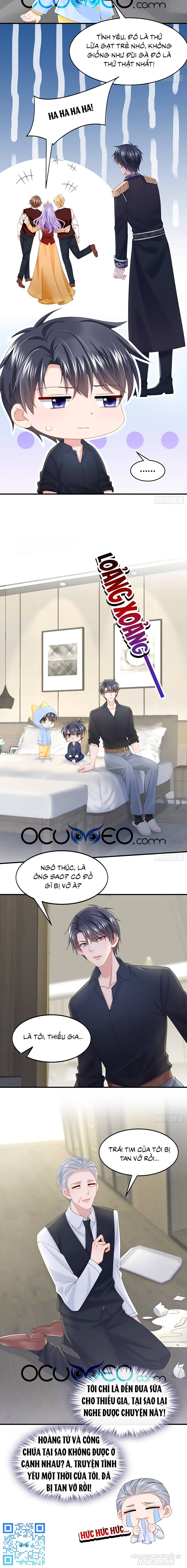 Manh Bảo Của Tôi Là Liêu Cơ Chapter 16 - Trang 2