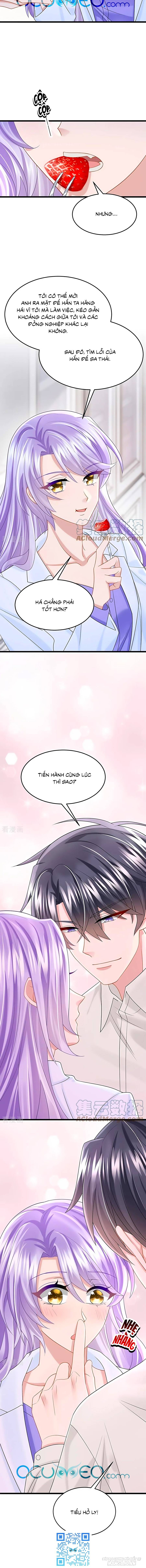 Manh Bảo Của Tôi Là Liêu Cơ Chapter 85 - Trang 2