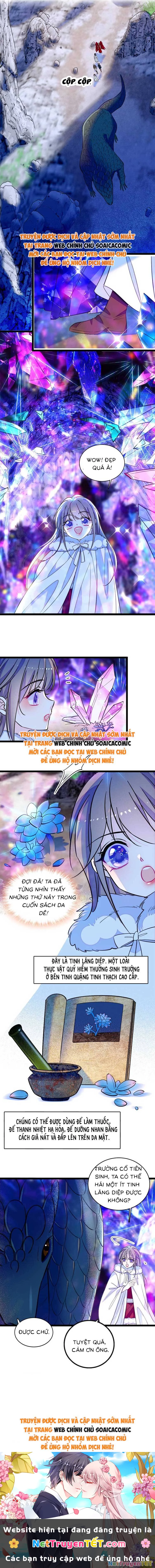 Manh Động Thú Thế Chapter 217 - Trang 2