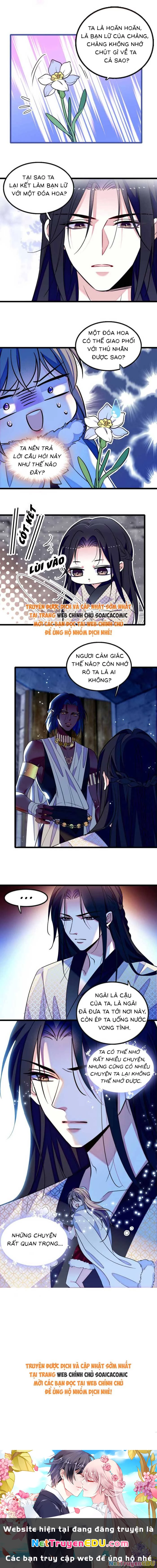 Manh Động Thú Thế Chapter 229 - Trang 2