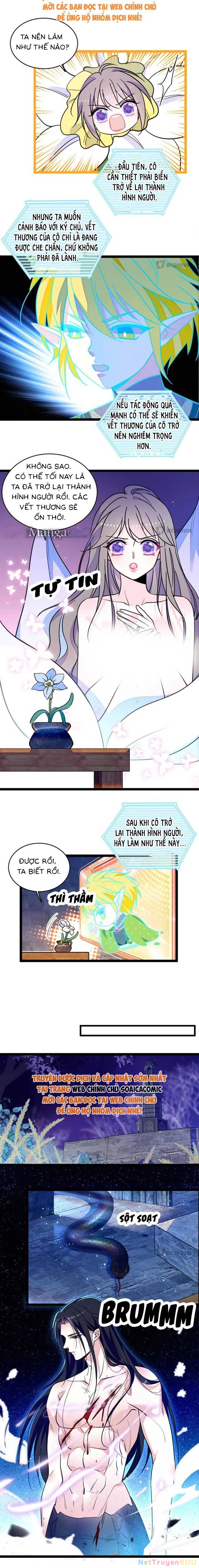 Manh Động Thú Thế Chapter 231 - Trang 2