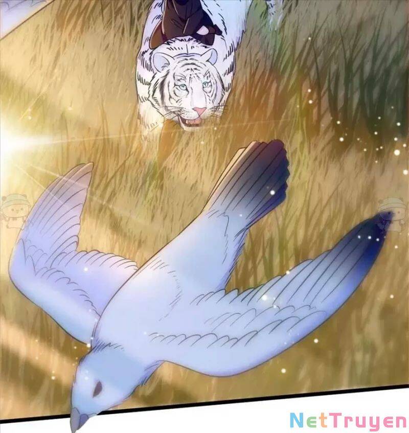 Manh Động Thú Thế Chapter 80 - Trang 2