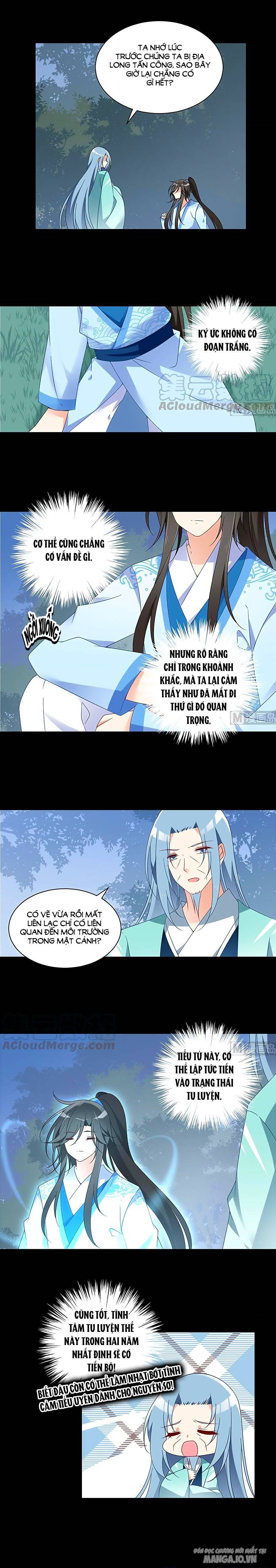 Manh Sư Tại Thượng Chapter 110 - Trang 2