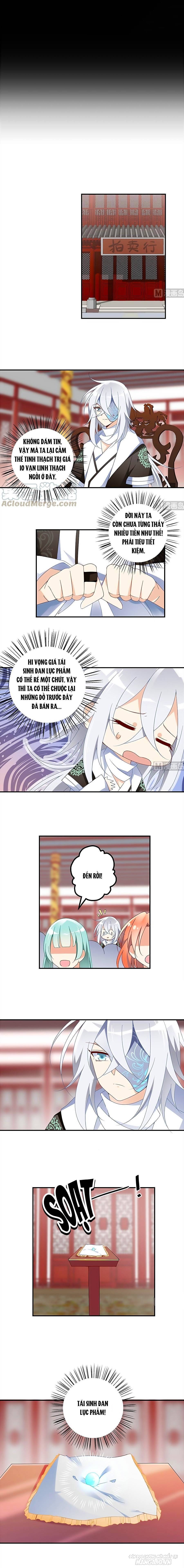 Manh Sư Tại Thượng Chapter 110 - Trang 2