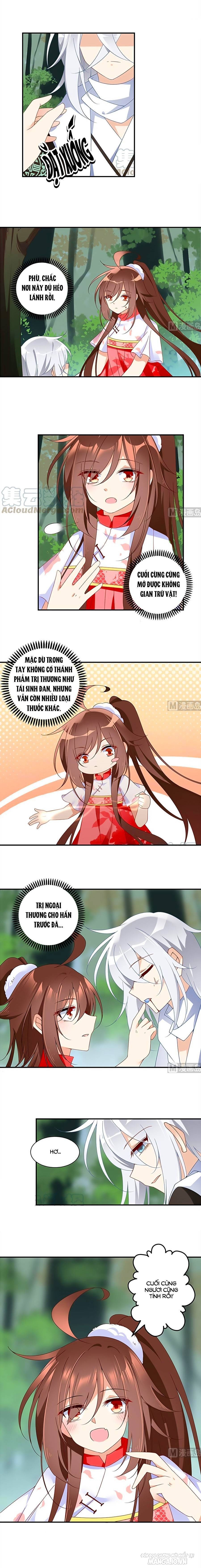 Manh Sư Tại Thượng Chapter 113 - Trang 2