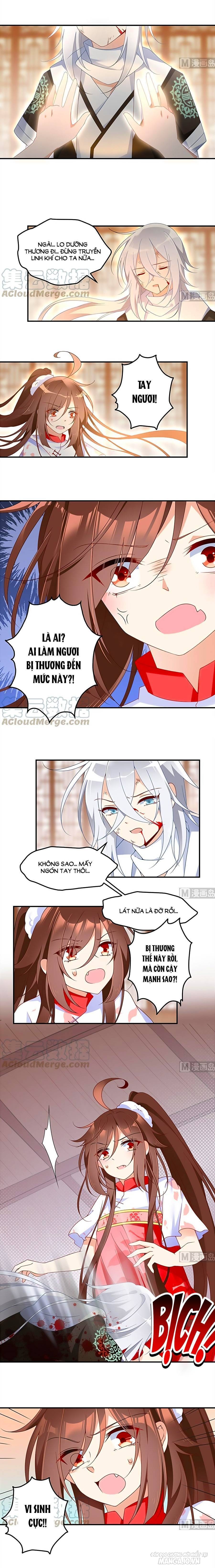 Manh Sư Tại Thượng Chapter 113 - Trang 2
