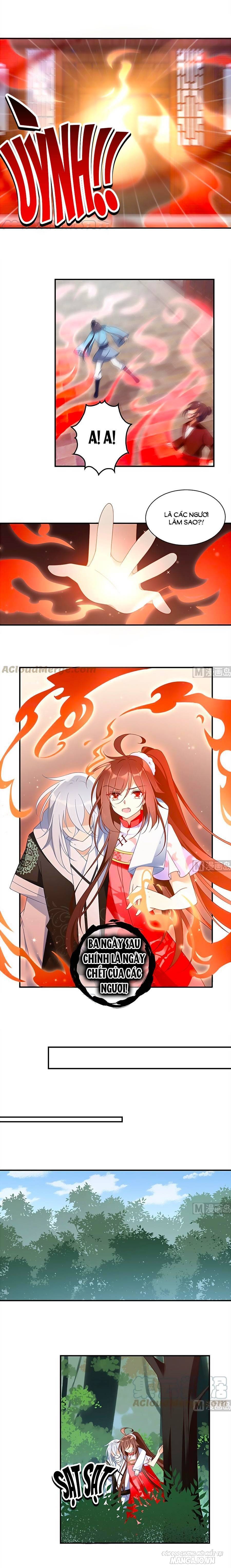 Manh Sư Tại Thượng Chapter 113 - Trang 2