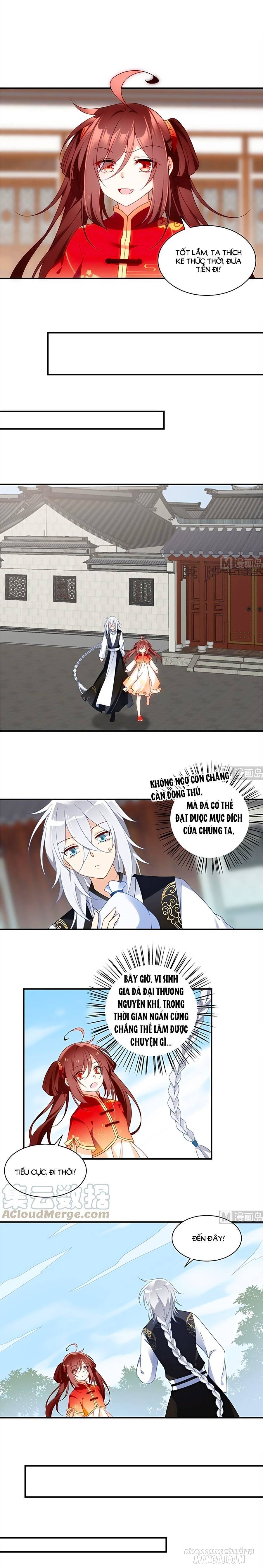 Manh Sư Tại Thượng Chapter 120 - Trang 2