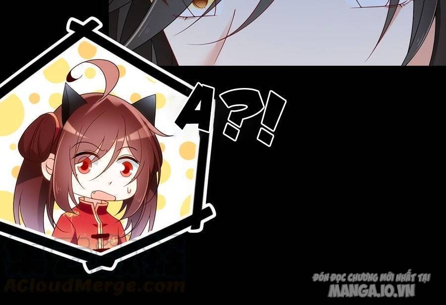 Manh Sư Tại Thượng Chapter 144 - Trang 2