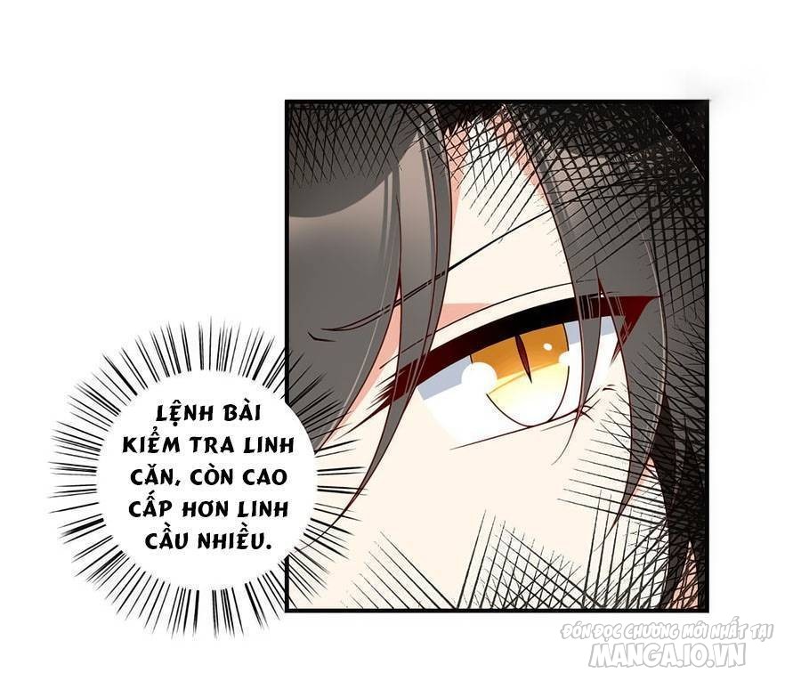 Manh Sư Tại Thượng Chapter 145 - Trang 2