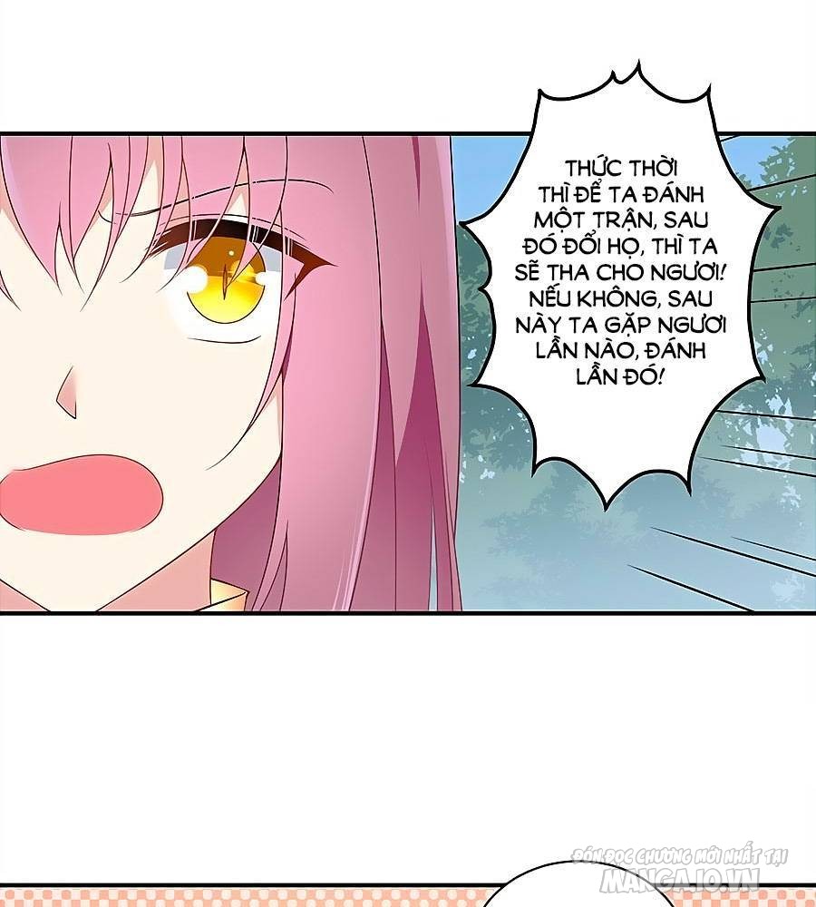 Manh Sư Tại Thượng Chapter 146 - Trang 2