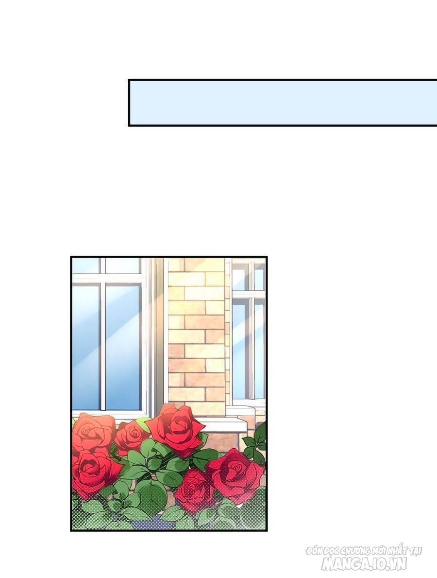 Manh Sư Tại Thượng Chapter 154 - Trang 2