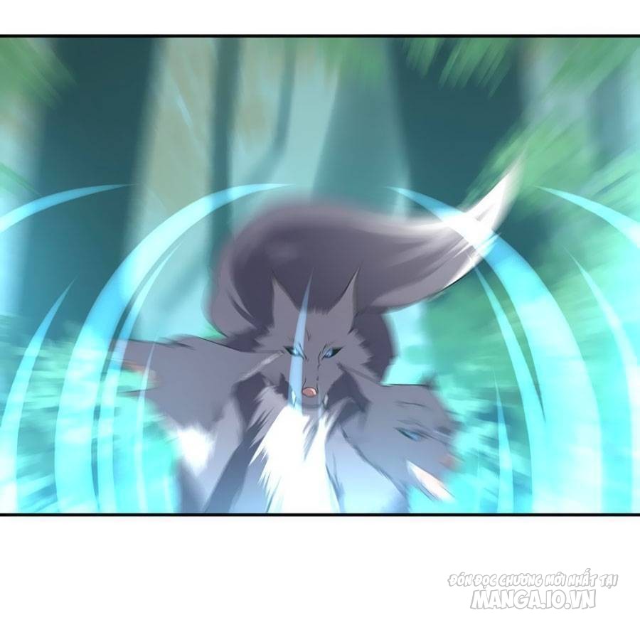 Manh Sư Tại Thượng Chapter 158 - Trang 2