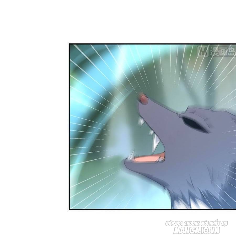 Manh Sư Tại Thượng Chapter 158 - Trang 2