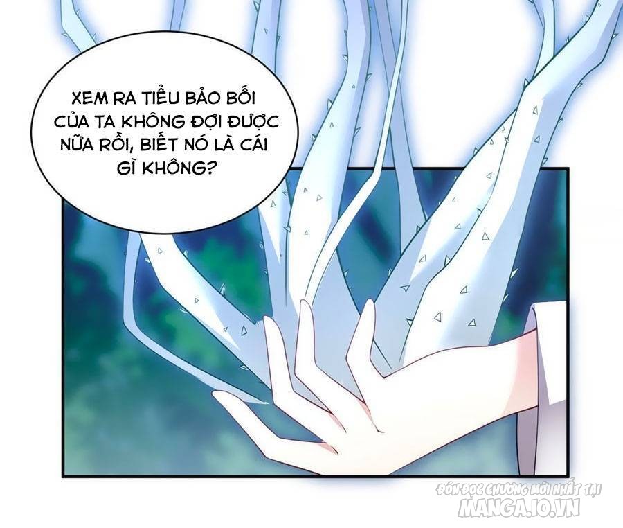Manh Sư Tại Thượng Chapter 160 - Trang 2