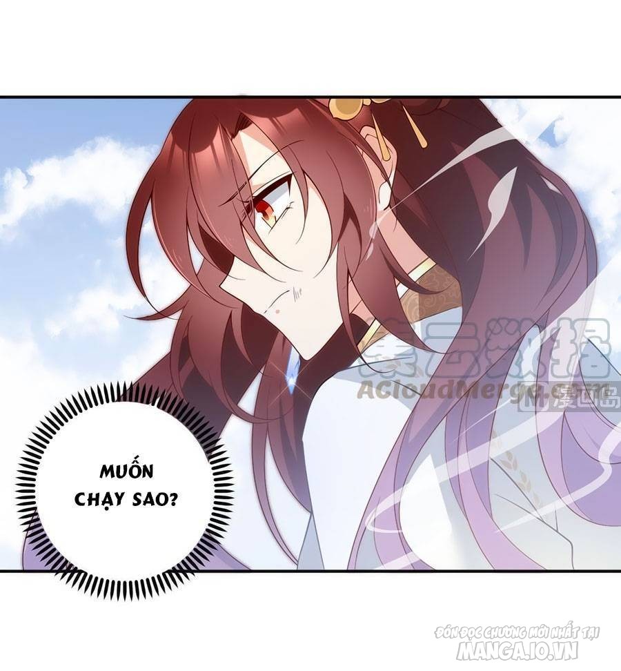 Manh Sư Tại Thượng Chapter 161 - Trang 2