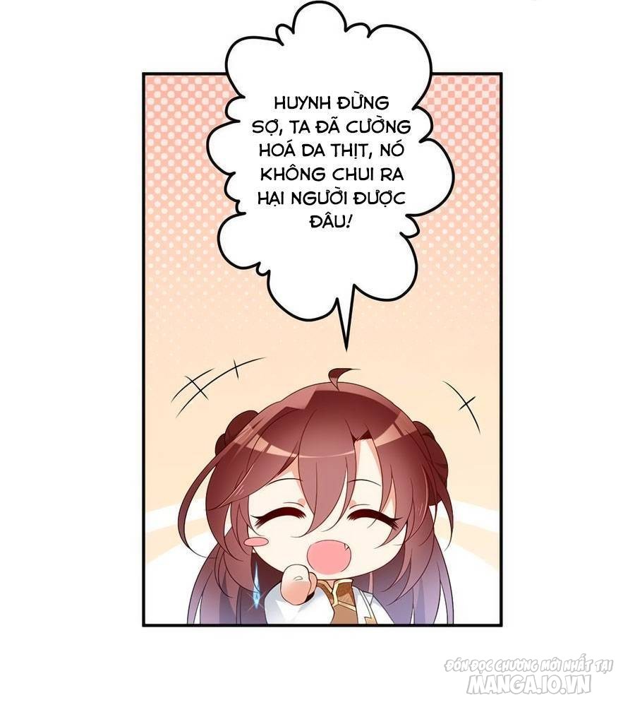 Manh Sư Tại Thượng Chapter 161 - Trang 2