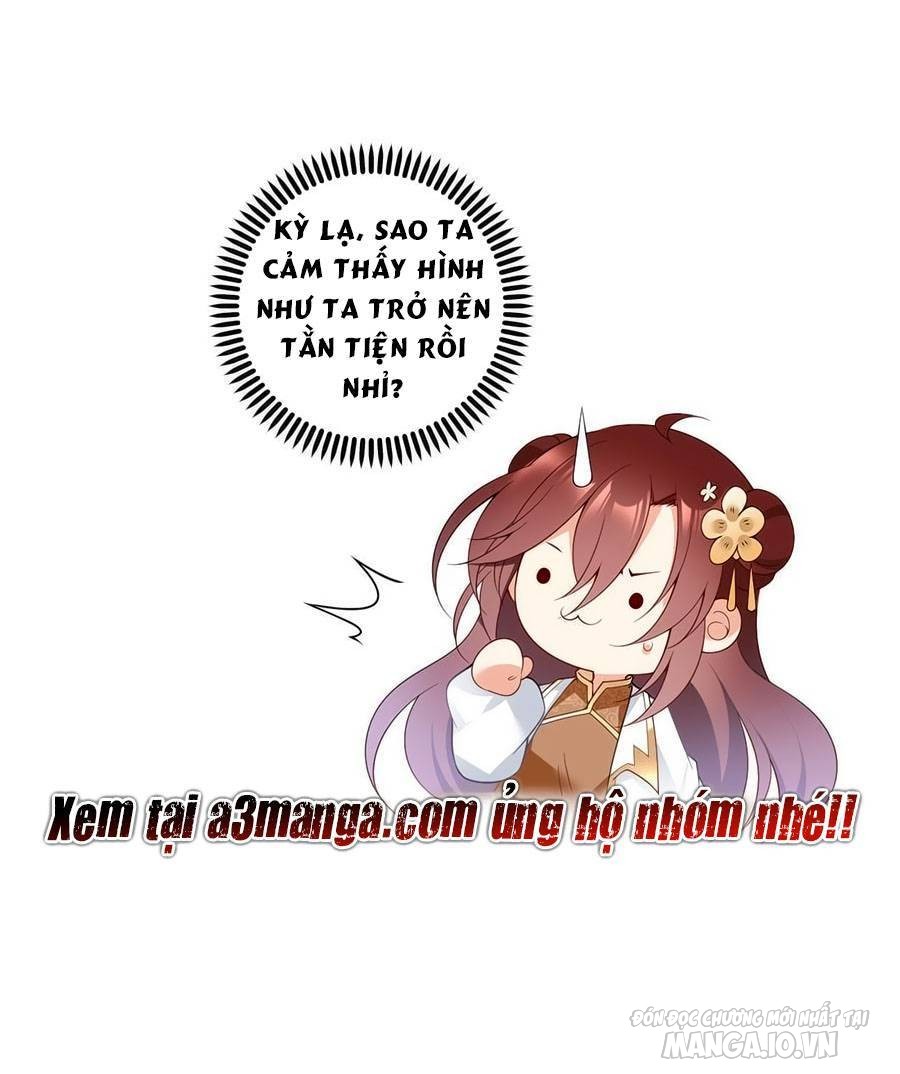 Manh Sư Tại Thượng Chapter 161 - Trang 2