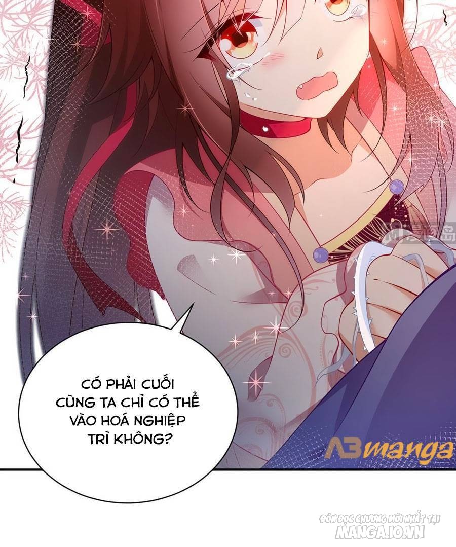 Manh Sư Tại Thượng Chapter 173 - Trang 2