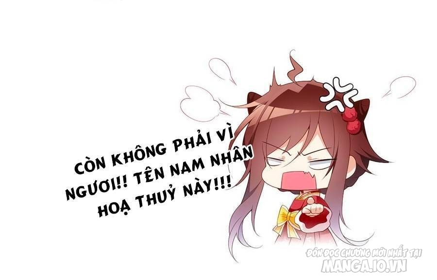 Manh Sư Tại Thượng Chapter 190 - Trang 2