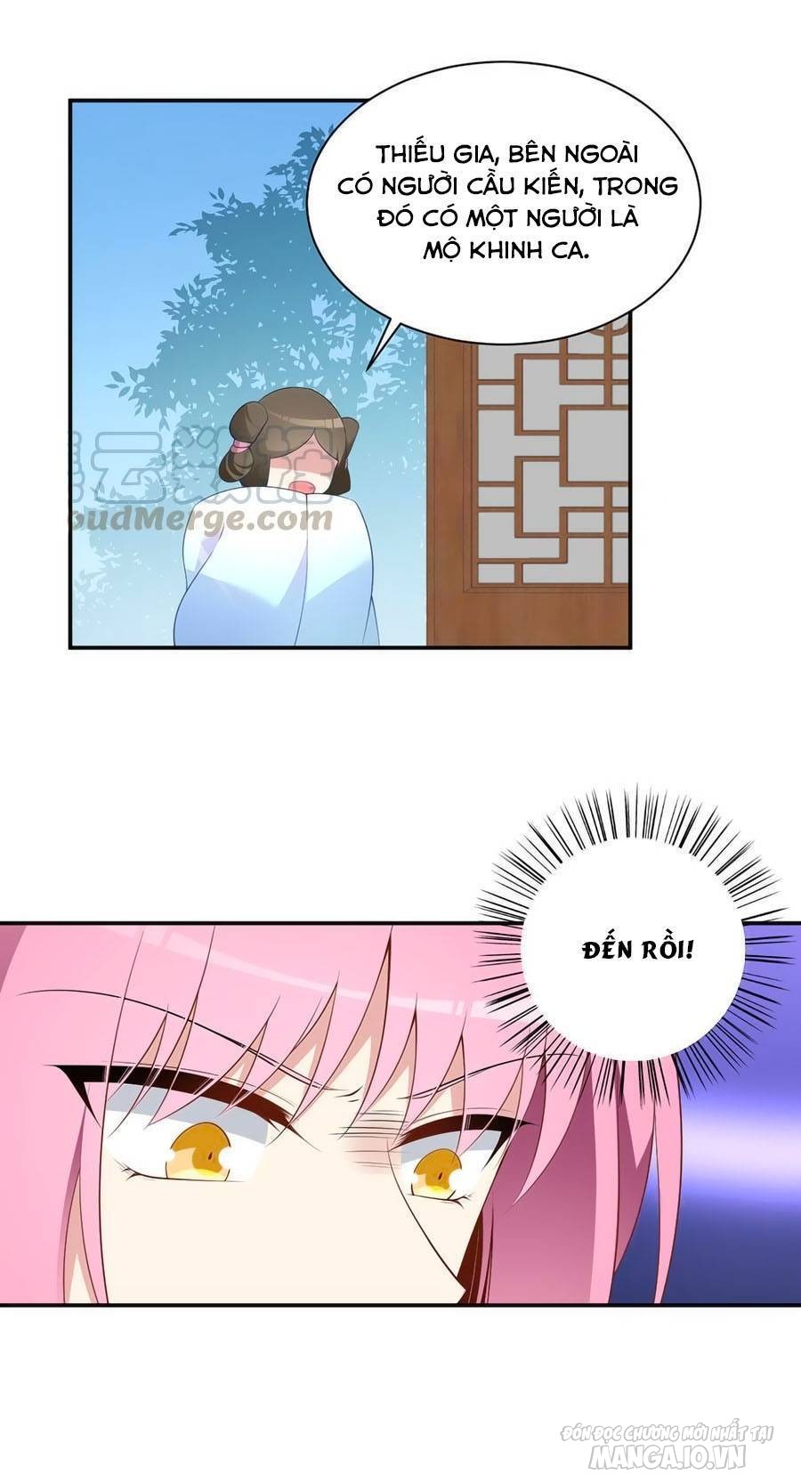 Manh Sư Tại Thượng Chapter 193 - Trang 2