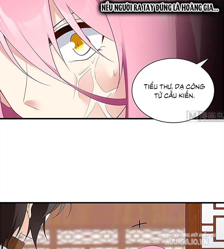 Manh Sư Tại Thượng Chapter 211 - Trang 2