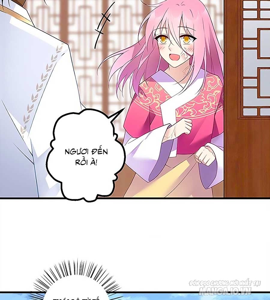 Manh Sư Tại Thượng Chapter 211 - Trang 2