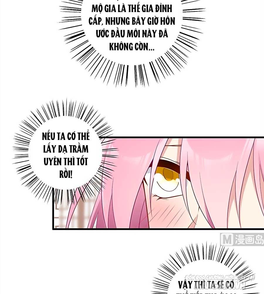 Manh Sư Tại Thượng Chapter 211 - Trang 2