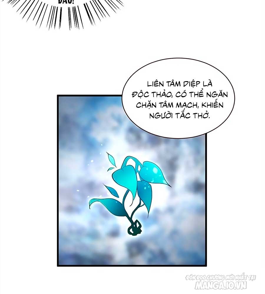 Manh Sư Tại Thượng Chapter 211 - Trang 2