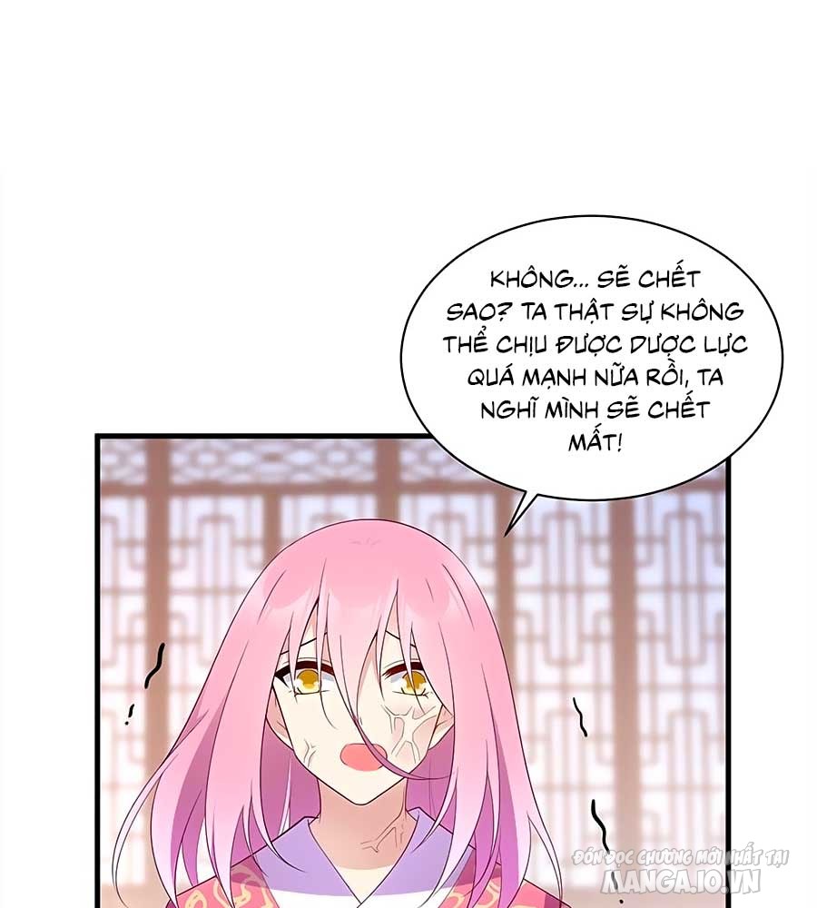 Manh Sư Tại Thượng Chapter 211 - Trang 2