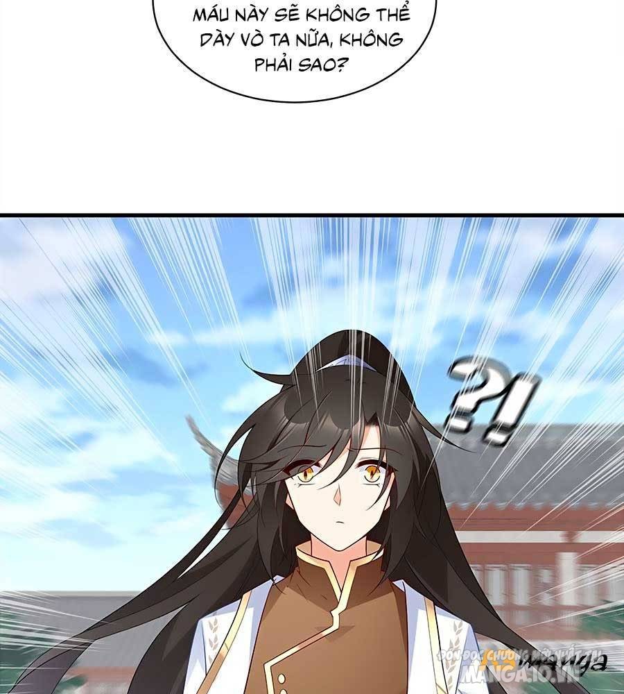 Manh Sư Tại Thượng Chapter 211 - Trang 2