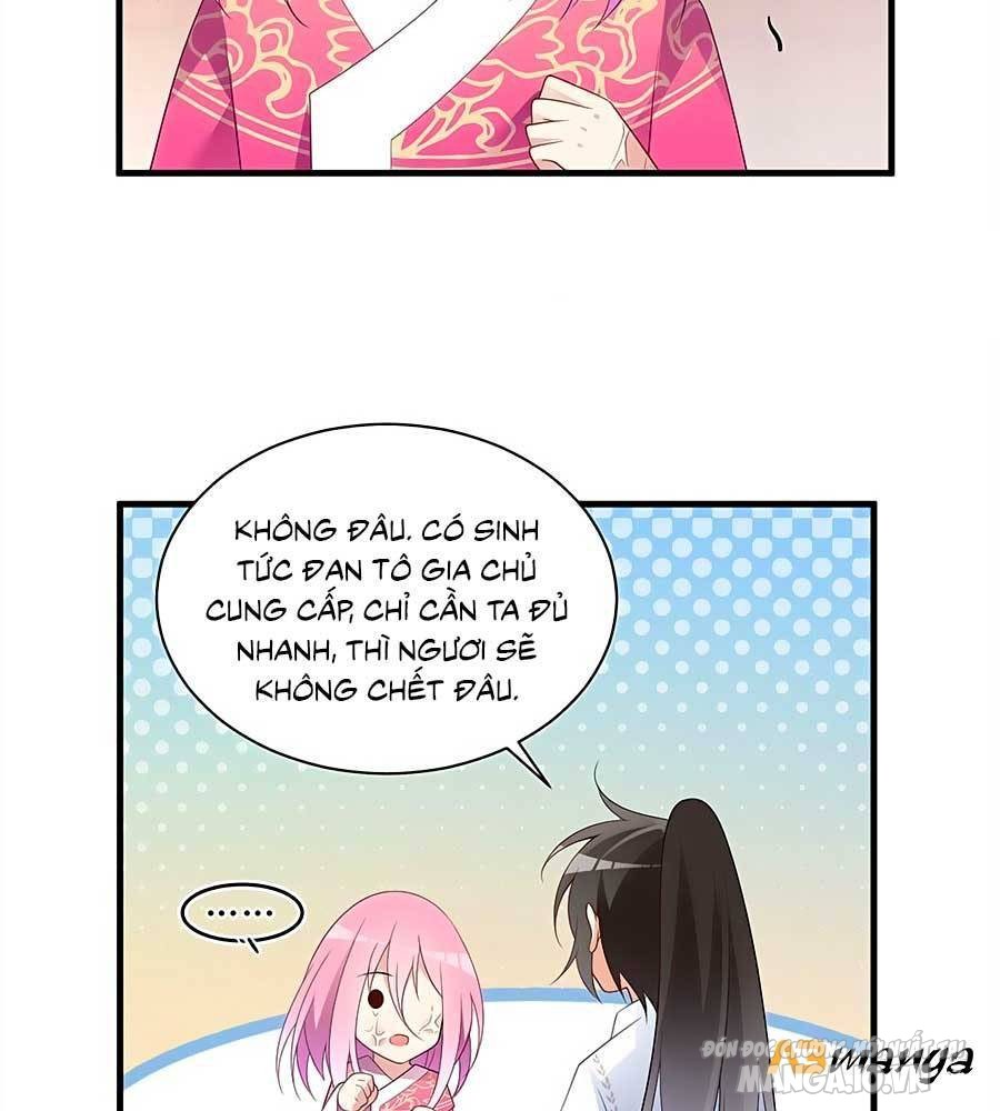 Manh Sư Tại Thượng Chapter 212 - Trang 2