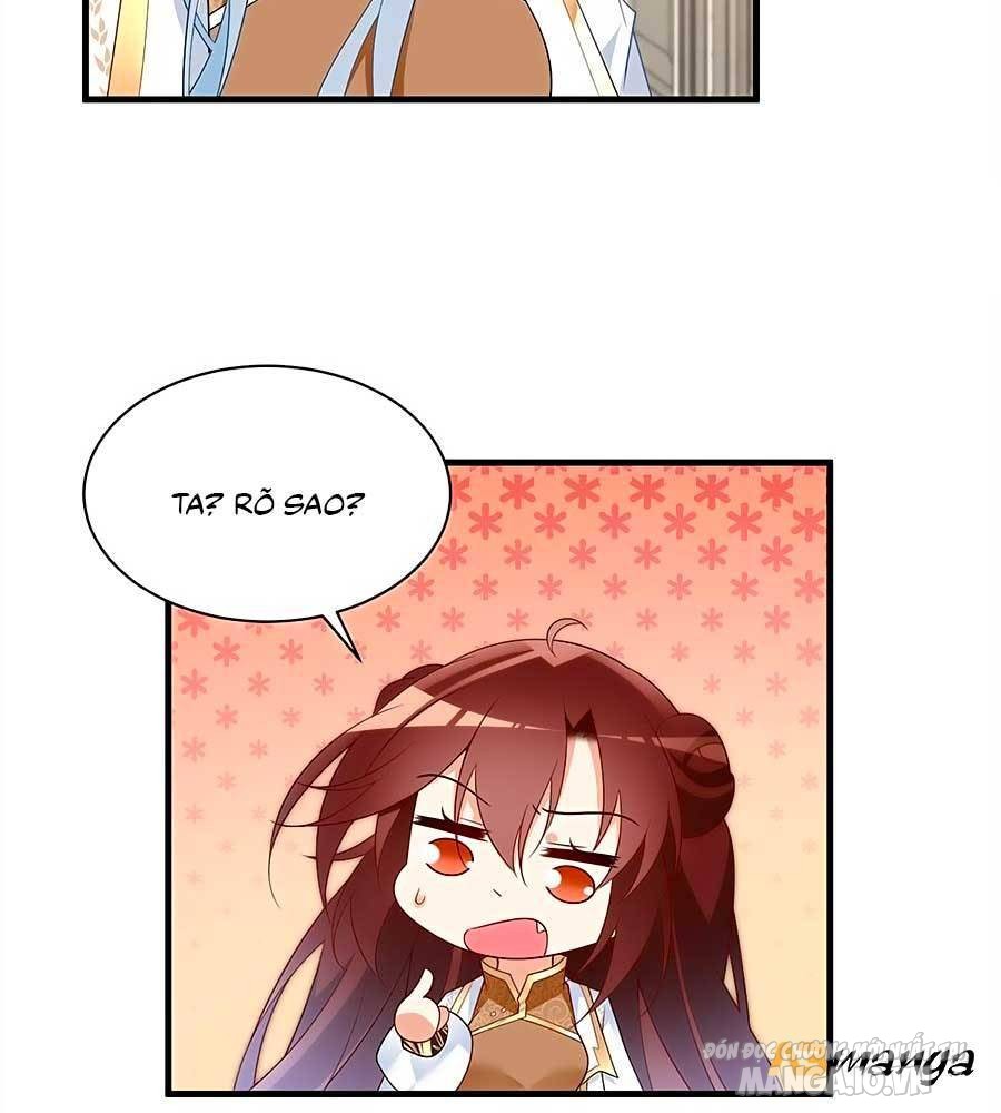 Manh Sư Tại Thượng Chapter 212 - Trang 2