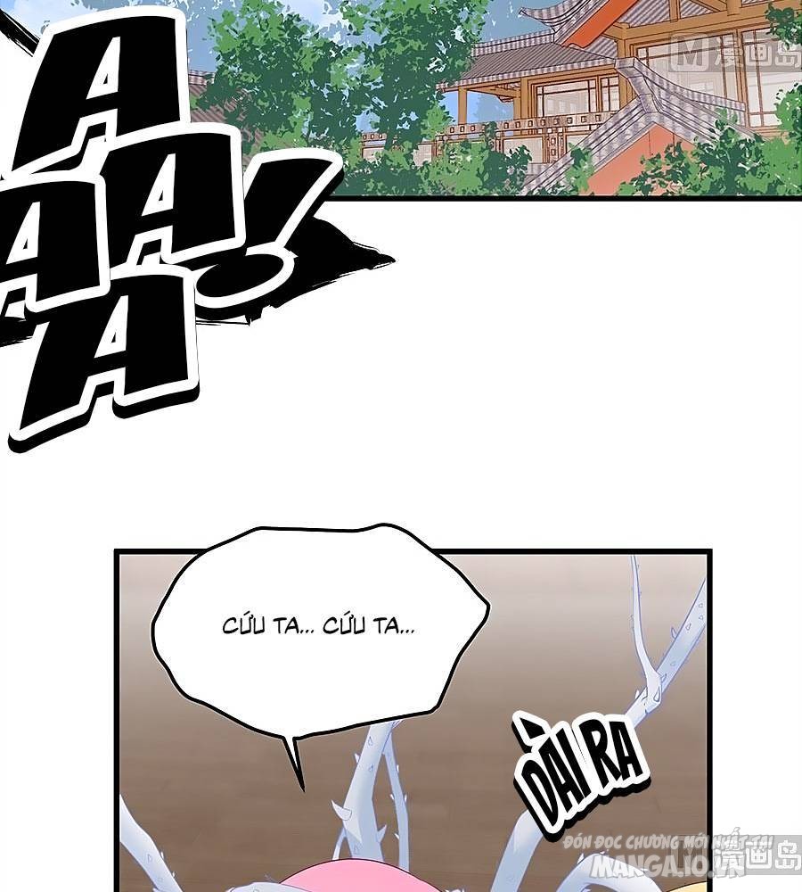 Manh Sư Tại Thượng Chapter 213 - Trang 2