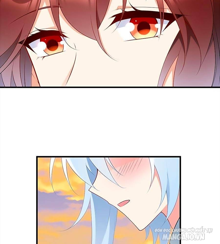 Manh Sư Tại Thượng Chapter 214 - Trang 2