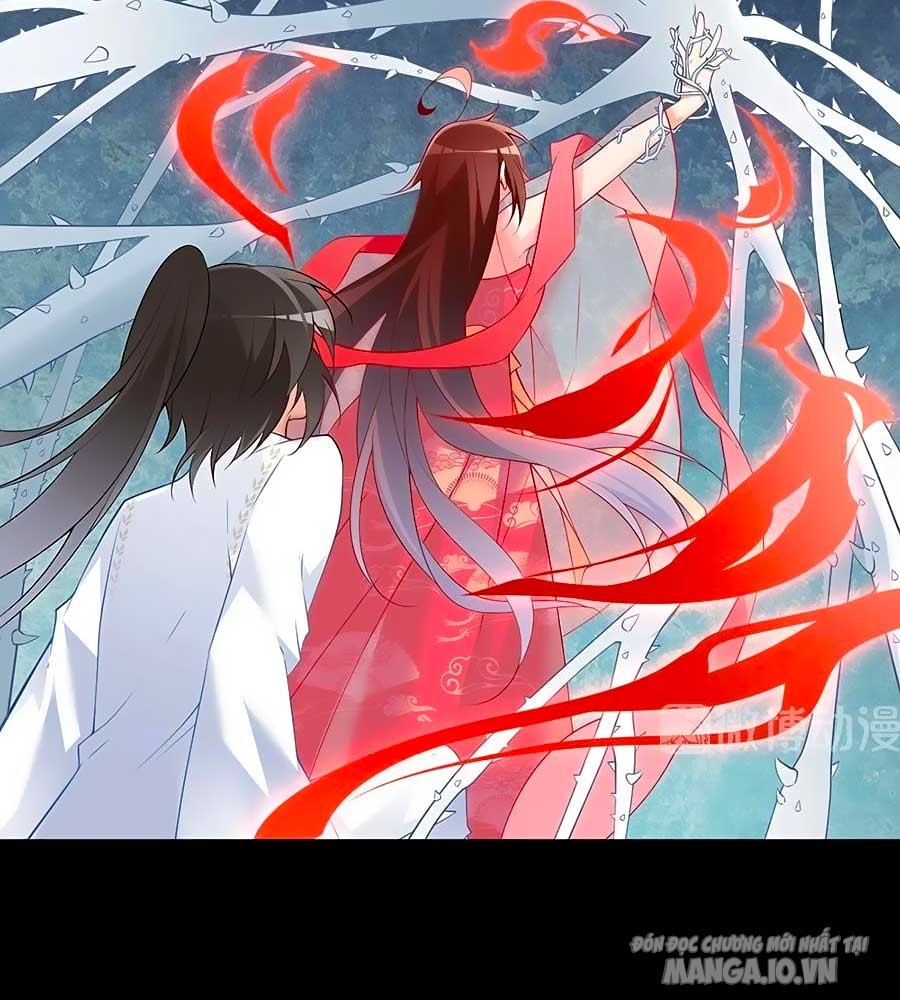 Manh Sư Tại Thượng Chapter 216 - Trang 2