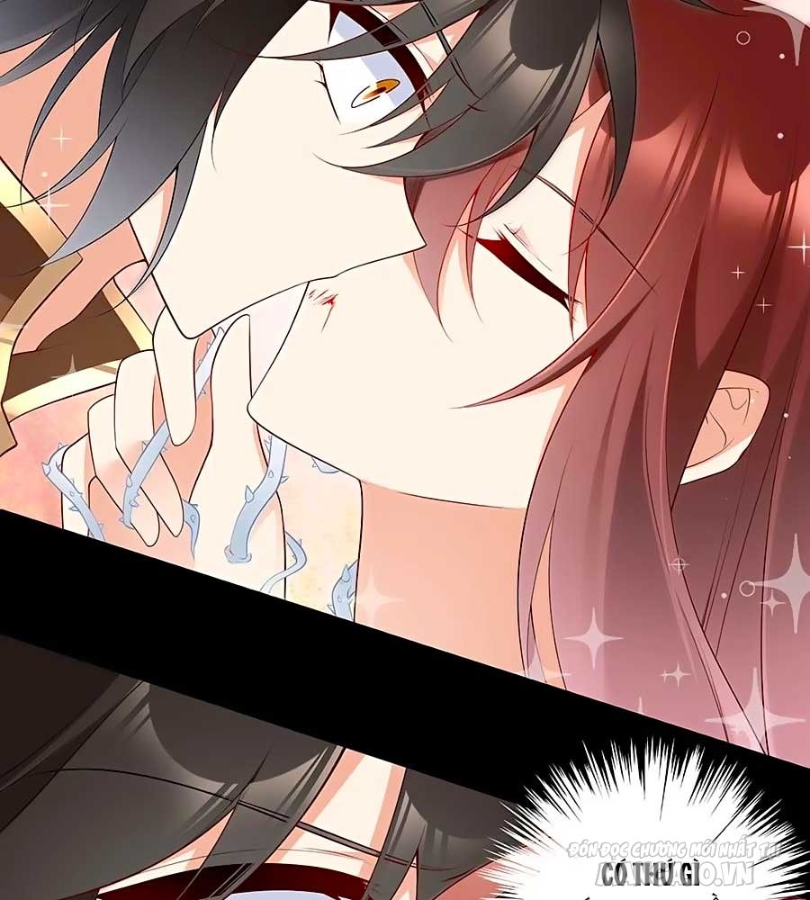 Manh Sư Tại Thượng Chapter 216 - Trang 2