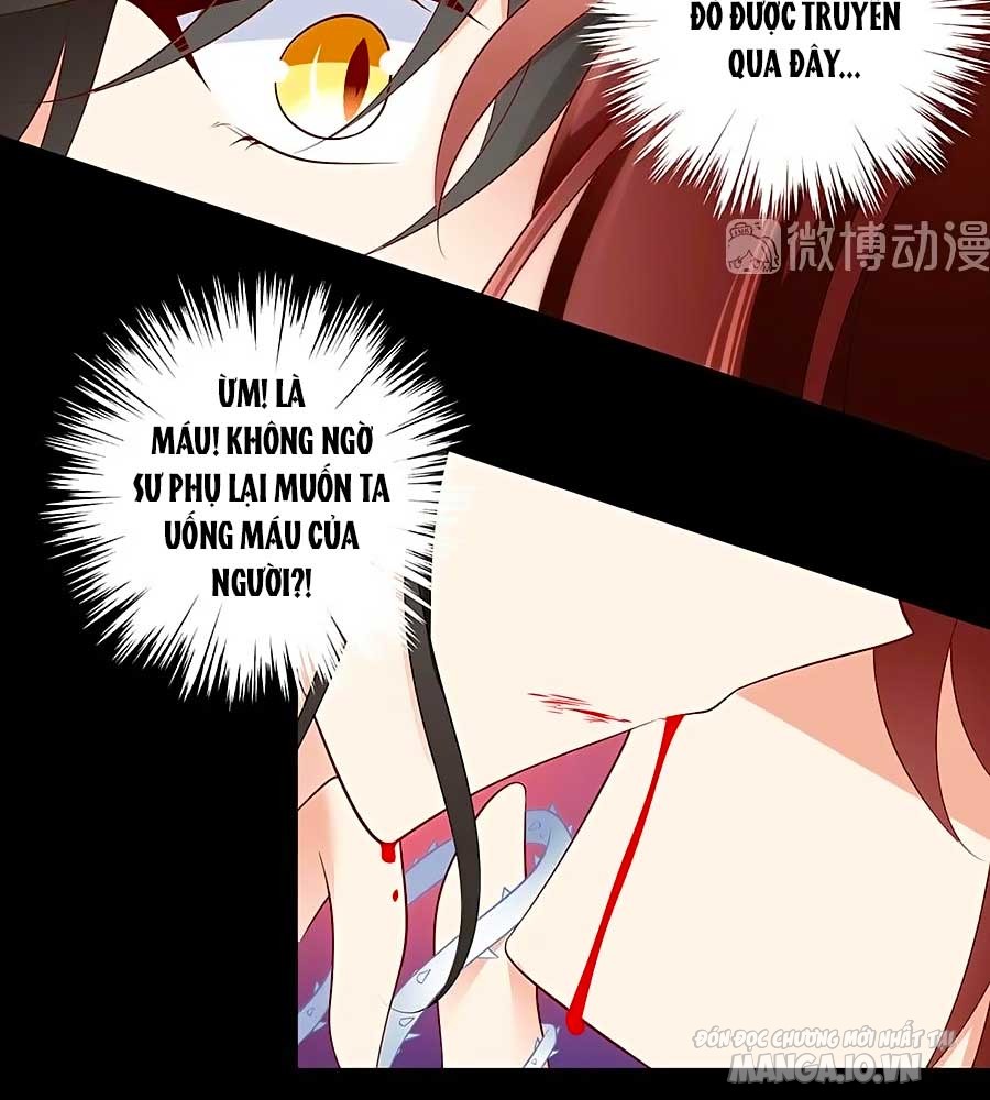 Manh Sư Tại Thượng Chapter 216 - Trang 2