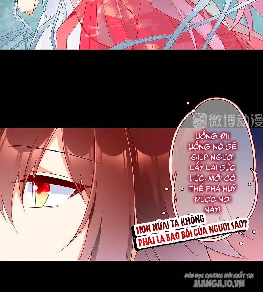 Manh Sư Tại Thượng Chapter 216 - Trang 2