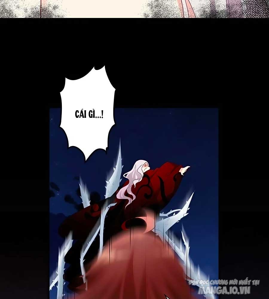 Manh Sư Tại Thượng Chapter 216 - Trang 2