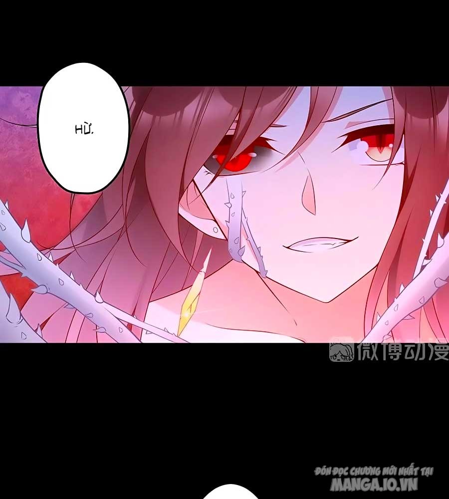 Manh Sư Tại Thượng Chapter 216 - Trang 2