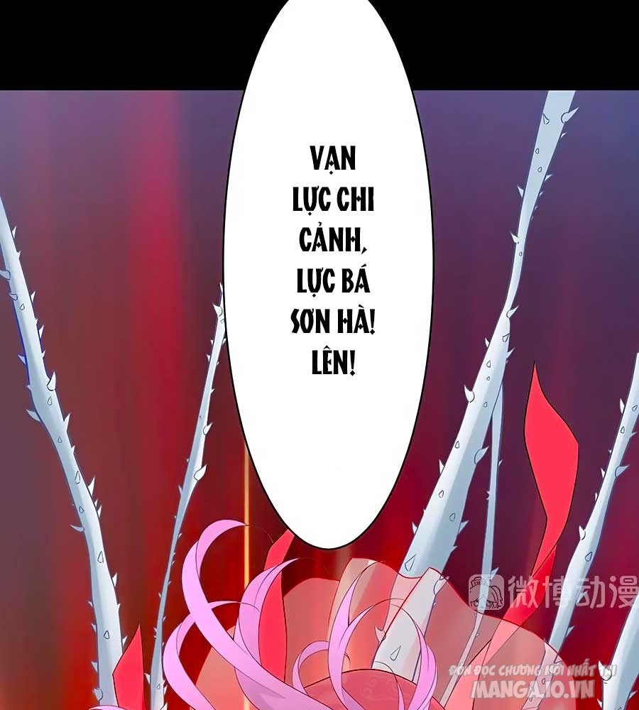 Manh Sư Tại Thượng Chapter 216 - Trang 2