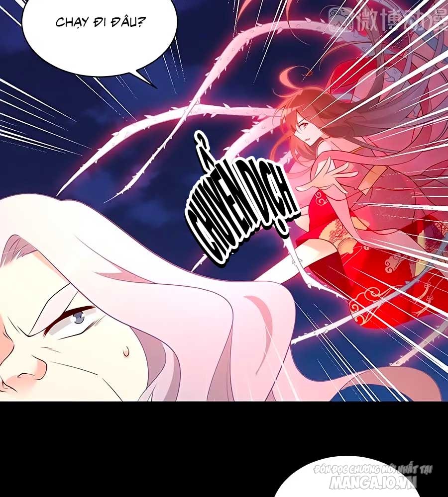 Manh Sư Tại Thượng Chapter 217 - Trang 2