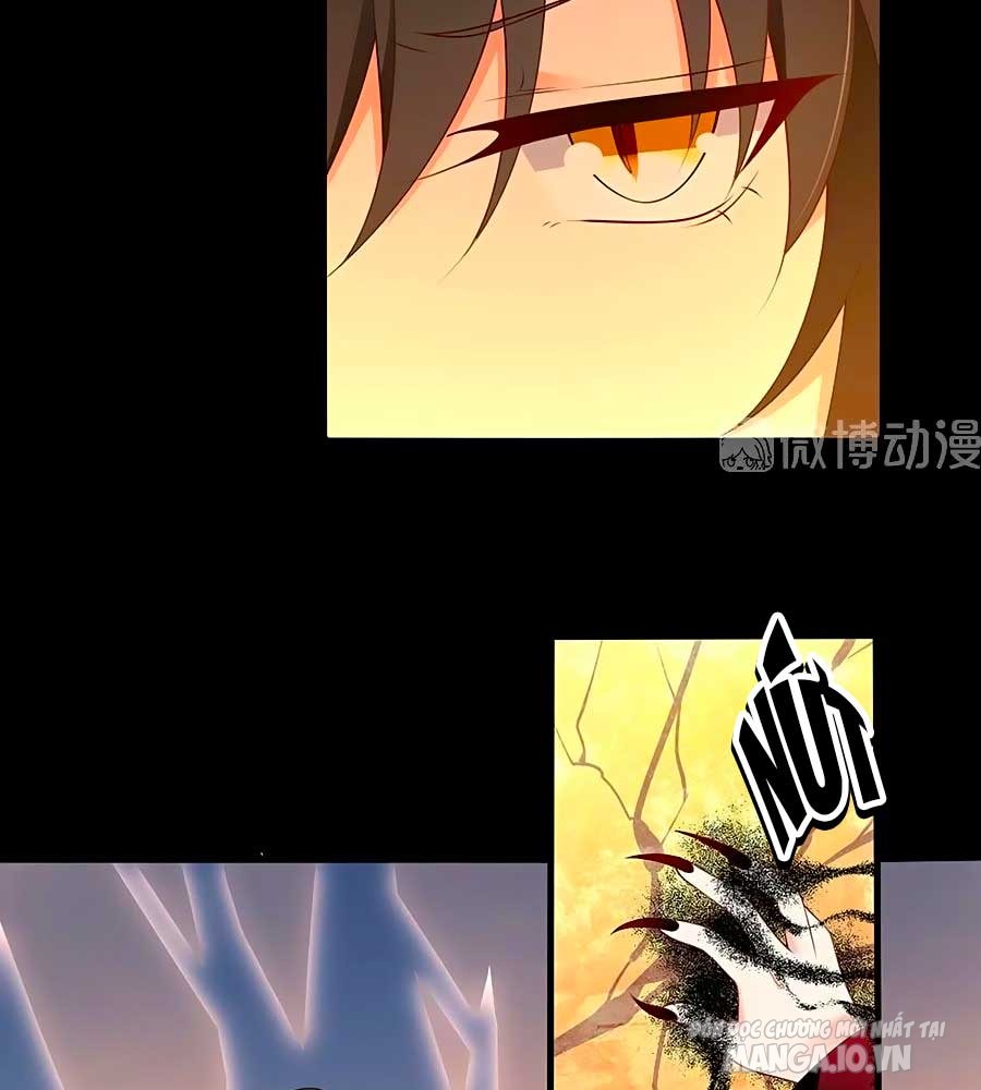 Manh Sư Tại Thượng Chapter 217 - Trang 2