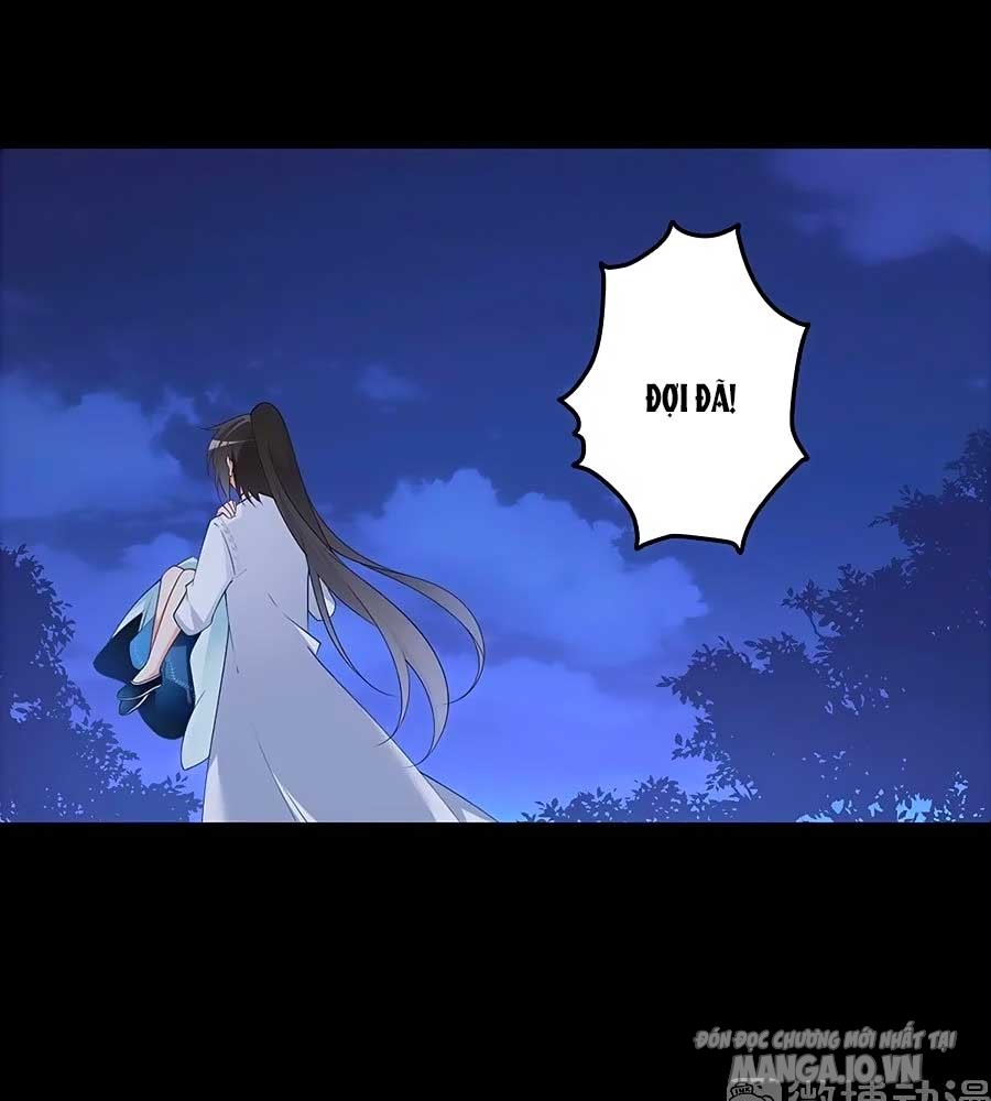 Manh Sư Tại Thượng Chapter 218 - Trang 2